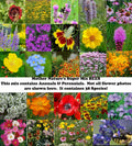 Wildflower Seed Mix - 1000 Non-GMO Seeds - 38 Species for Pollinators - Mother Nature's Super Mix