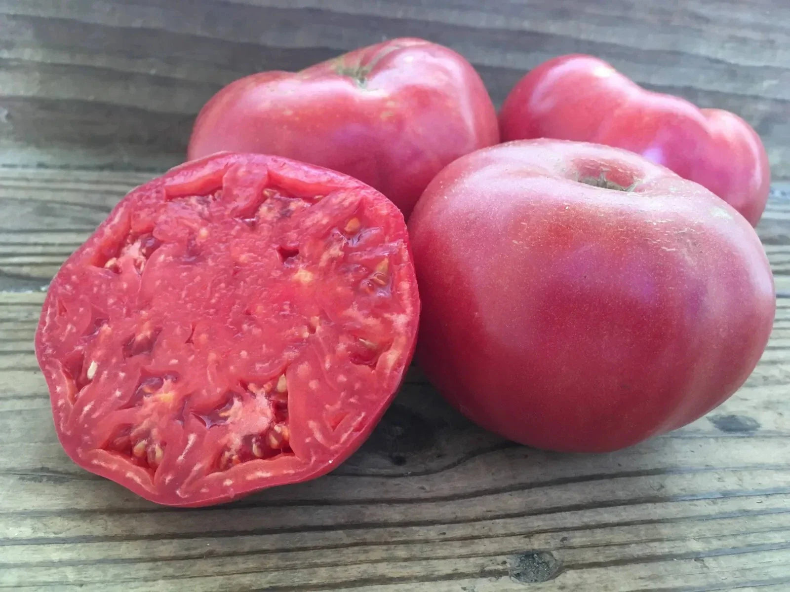 Mortgage Lifter Tomato Seeds - 120+ Heirloom Organic Non-GMO Seeds - Perfect for Home Gardening - Solanum lycopersicum