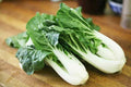 200+ Seeds Chinese Cabbage Pak Choi White Stem Bok Choy Heirloom NON GMO - Brassica rapa subsp. chinensis