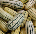 Delicata Squash Seeds - 20+ Winter Squash Seeds for Garden - Healthy Heirloom Variety - Cucurbita pepo