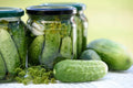 Heirloom National Pickling Cucumber Seeds - 25 Seeds for Dill Pickles, High Yield Variety (Cucumis sativus)