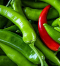 Serrano Hot Pepper Seeds | 200 Non-GMO Garden Seeds | Capsicum annuum | Spicy, Heirloom Variety