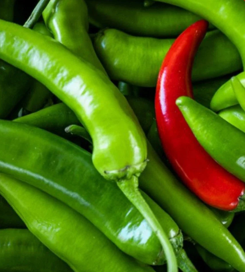 Serrano Hot Pepper Seeds | 200 Non-GMO Garden Seeds | Capsicum annuum | Spicy, Heirloom Variety