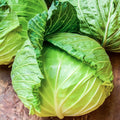Cabbage Seeds 400+ Heirloom Golden Acre NON GMO Fresh Brassica oleracea