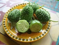 West Indian Gherkin Seeds - Heirloom Burr Spike Cucumber - RARE - Cucumis anguria