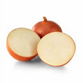 Onion Seeds for Planting - Catskill Variety - 100 Seeds - Allium cepa