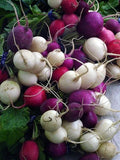 Easter Egg Radish Seeds - Fresh Vegetable Seeds for Planting - Raphanus sativus