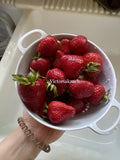 Organic Strawberry Seeds - 50 Count - Sweet Non-GMO Edible Fruit - Perfect for Homegrown Gardens - Fragaria x ananassa