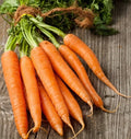 Tendersweet Carrot Seeds - 1000+ Heirloom Organic Non-GMO - Daucus carota