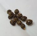 Dwarf Papaya Seeds - 36 Rare Tropical Fruit Tree Seeds - Carica papaya - Unique Garden Planting