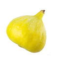 Desert King Fig Seeds - 100+ Count for Garden Planting - Ficus carica - USA Grown - Fast Shipping