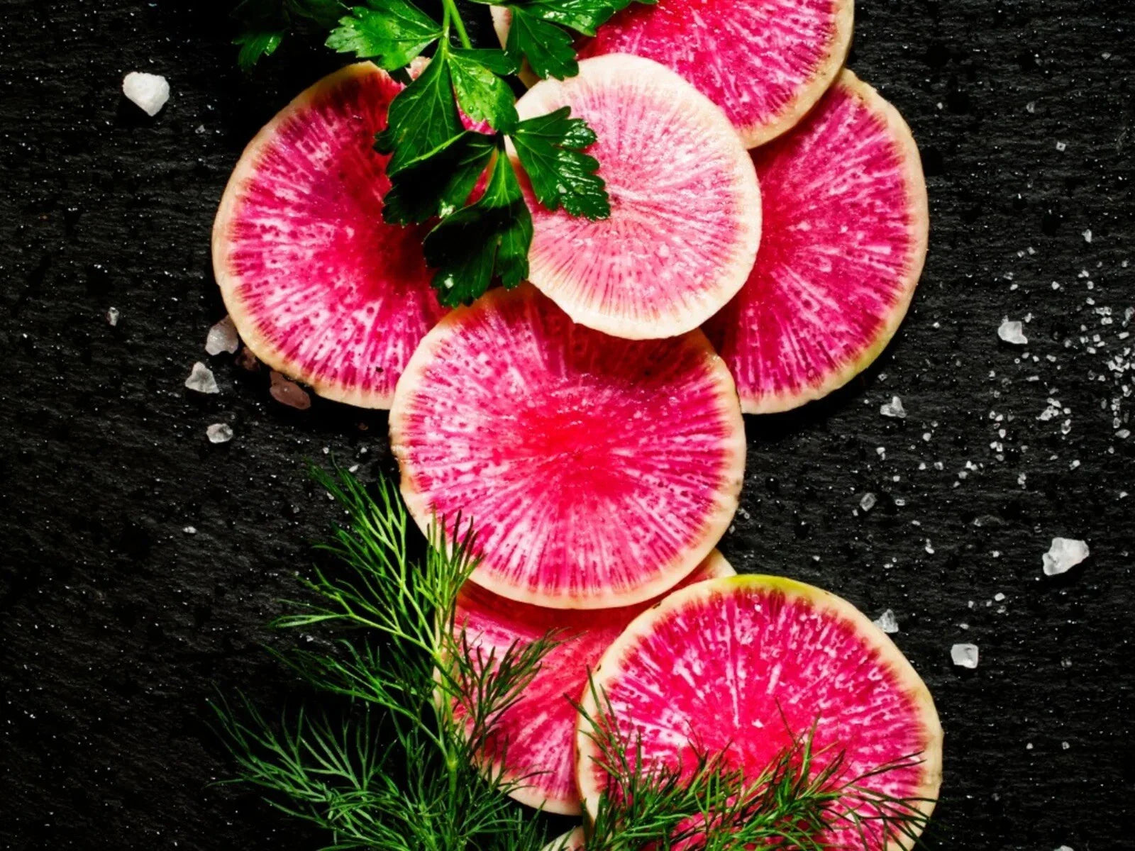 Watermelon Radish Seeds - 100 Heirloom Non-GMO Organic Seeds for Fresh Garden - Raphanus sativus