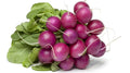 Malaga Radish Seeds - 500+ Count - Fast-Growing Garden Variety - Raphanus sativus - USA, Free Shipping