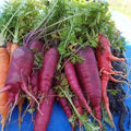 Atomic Red Carrot Seeds - 1000+ Heirloom Seeds for Garden Planting - Daucus carota - USA Fresh, Non-GMO, Free Shipping