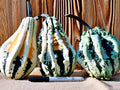 Super Wings Gourd Seeds - Fresh Seeds for Planting - Cucurbita pepo