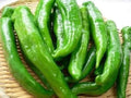 Sweet Manganji Premium Pepper Seeds - 25 Fresh Quality Seeds - Capsicum annuum