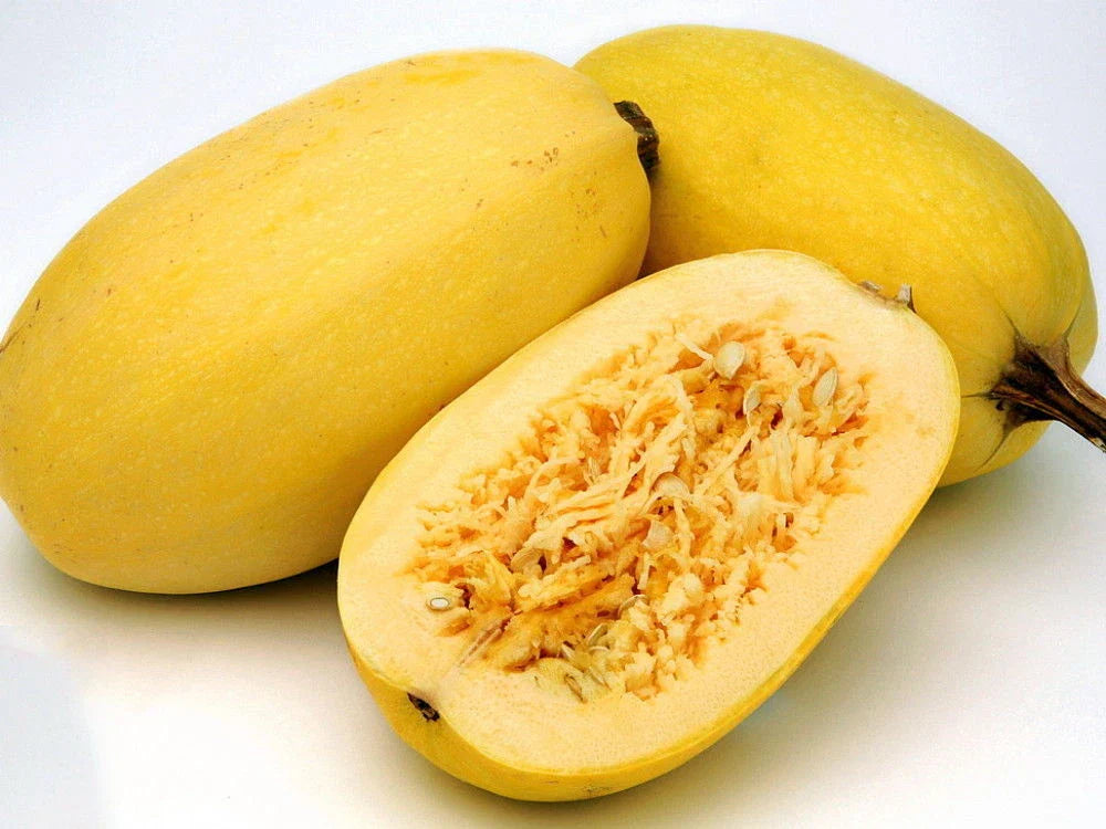 Spaghetti Squash Seeds - Fresh Heirloom Vegetable Seeds - Cucurbita pepo