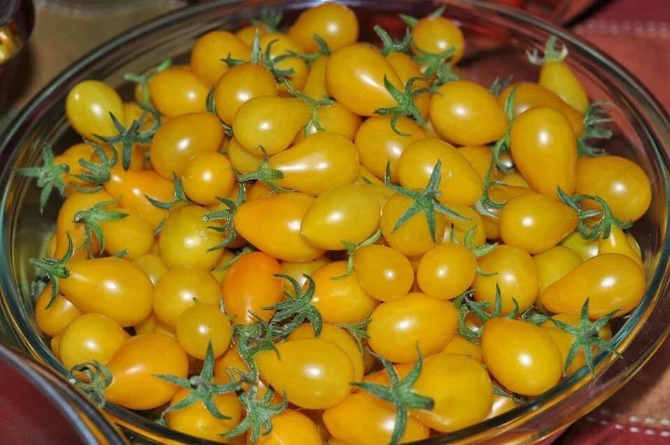 Yellow Pear Tomato Seeds - Heirloom, Non-GMO, Fresh - Solanum lycopersicum