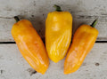 Fresh Sweet Golden Marconi Pepper Seeds - 20 Premium Seeds - Capsicum annuum