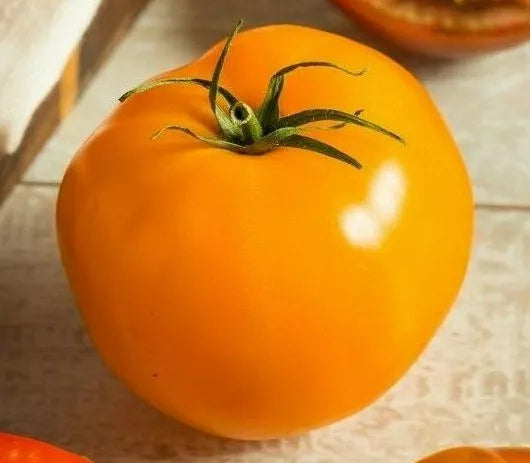 Golden Jubilee Tomato Seeds, 100+ Count, Heirloom Garden Vegetable, Solanum lycopersicum, Ideal for Sauce and Salad