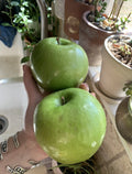 Granny Smith Apple Seeds - Organic Heirloom Fruit Tree - 5 Pack - Malus domestica - Homegrown USA