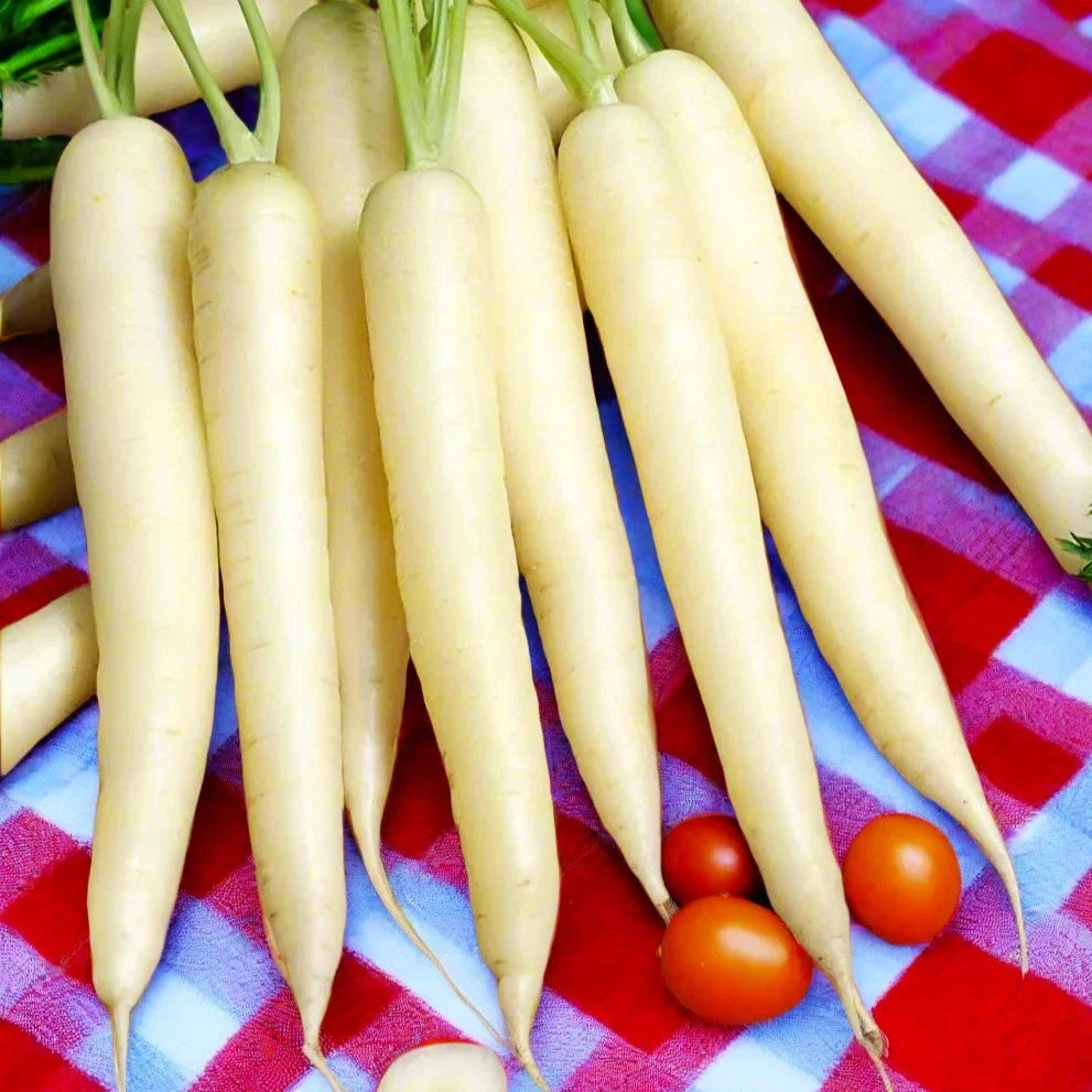 Lunar White Carrot Seeds - Pure Albino Gourmet, Ivory Moon Variety, Ideal for 2025 Planting