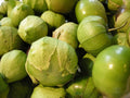Tomatillo Verde Seeds - Heirloom Culinary Green Husk Varieties for Fresh Salsa - Perfect for Home Gardening