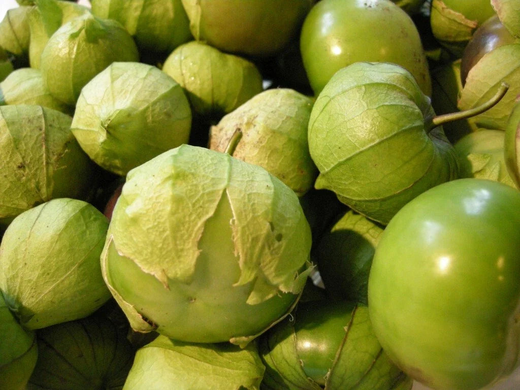Tomatillo Verde Seeds - Heirloom Culinary Green Husk Varieties for Fresh Salsa - Perfect for Home Gardening