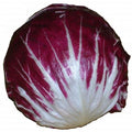 Radicchio Seeds 100 Count Rouge de Verona Organic Vegetable Seeds for Italian Cuisine