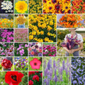 Northeast Wildflower Mixed Seeds, 1/4 lb, 120,000+ Seeds, Native Pollinator Friendly, Eco-Friendly Planting