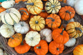 Mini Mix Pumpkin Seeds Blend - Tiger, White, Jack Be Little, Red Spot, Baby Boo - Cucurbita pepo