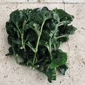 Hot Weather Spinach Collection - 12 Cuttings - Okinawa, Brazilian, Longevity - Edible Greens for Warm Climates