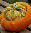 Turk's Turban Gourd Seeds 10 Ct Heirloom NON-GMO Curbita Maxima for Gardening