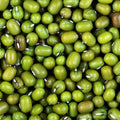 Mung Bean Seeds - 50+ Count - Green Beans for 2025 Planting - Vigna radiata