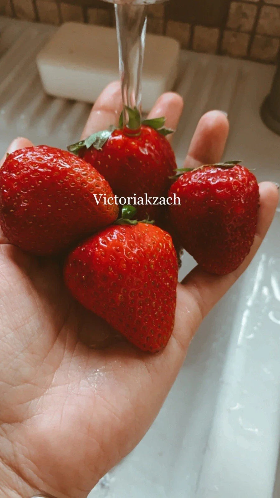 Strawberry Seeds 100 Count Organic Non-GMO Sweet Berry (Fragaria × ananassa) for Homegrown Edible Garden