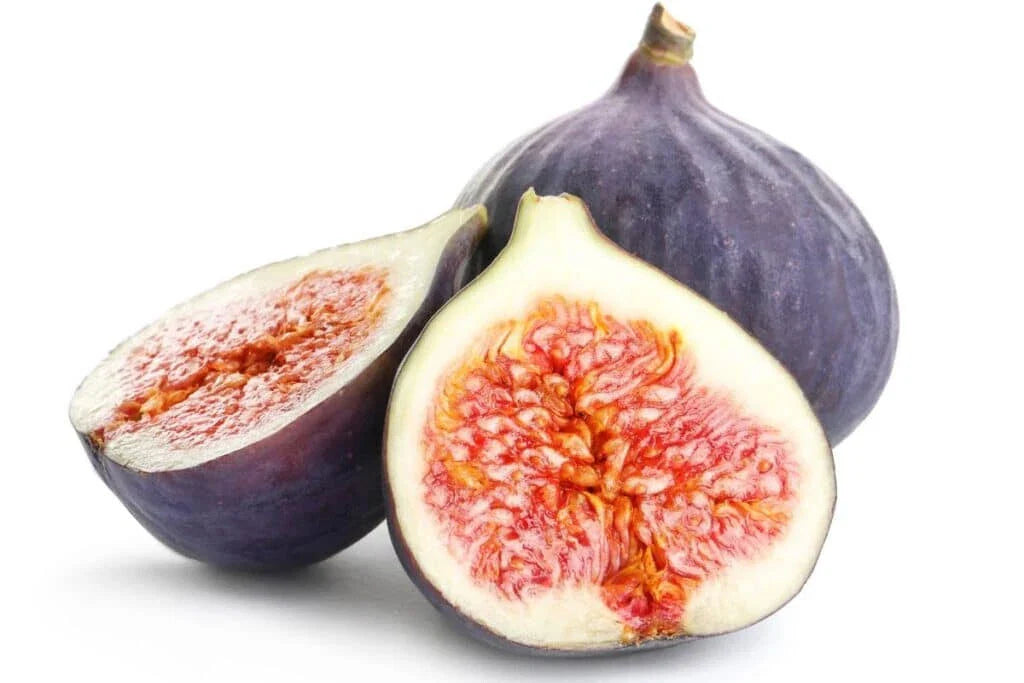 Portuguese Fig Seeds - 100+ Seeds - Roxo Variety - Ficus carica - Ideal for Home Garden Planting - USA
