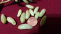 Jelly Bean Succulent Leaves Cuttings 20 pcs - Sedum rubrotinctum, Colorful Green & Red Varieties for Planting