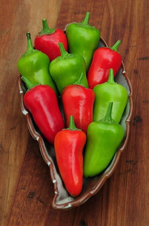 Fresno Chili Seeds - 15 to 100 Seeds - Chile Caribe Cera - Heavy Producer with Smoky Flavor - Capsicum annuum