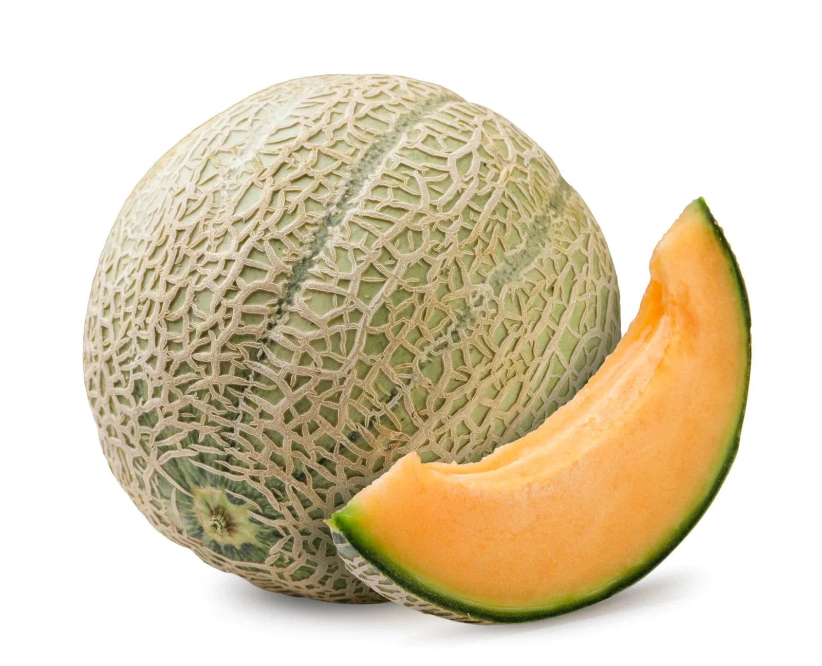 Hales Best Jumbo Cantaloupe Seeds - Non-GMO Variety - Home Gardening - Cucumis melo