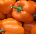 Orange Bell Pepper Seeds - 30+ Non-GMO Orange Sun Sweet Variety for Vegetable Garden - Capsicum annuum