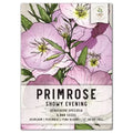 Showy Evening Primrose Seeds for Planting, Oenothera speciosa, Colorful Wildflower Seeds, Native Perennial Garden Seed
