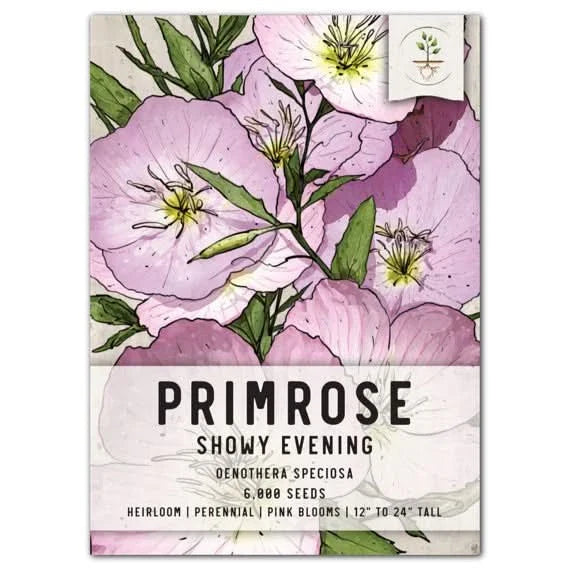 Showy Evening Primrose Seeds for Planting, Oenothera speciosa, Colorful Wildflower Seeds, Native Perennial Garden Seed
