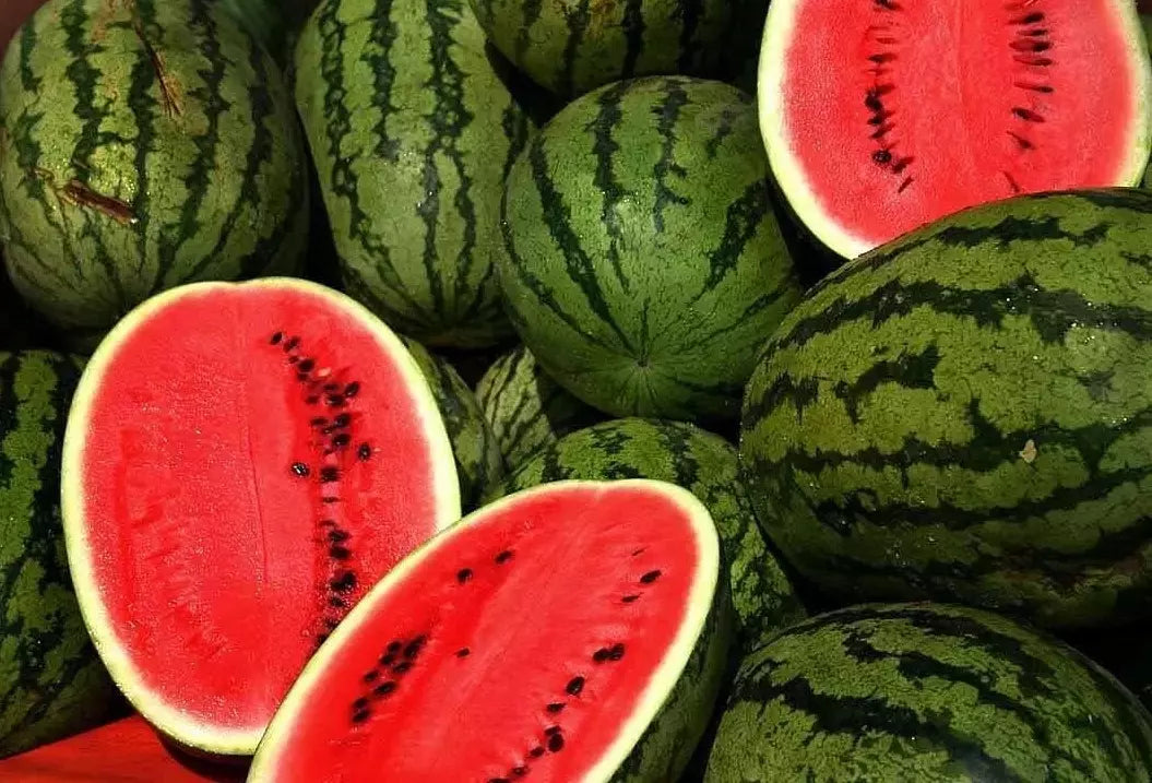 Kleckley's Sweet Watermelon Seeds - 100+ Large Heirloom Seeds - Super Sweet Variety - Fresh Quality