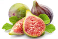Celeste Fig Seeds - 100 Count for Garden Planting - Ficus carica - USA Grown - Free Shipping
