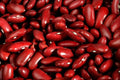 Dark Red Kidney Bean Seeds - Fresh Organic Seeds for Planting - Phaseolus vulgaris - FREE Shipping