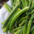 Perkins Long Pod Okra Seeds - 100+ Heirloom Non-GMO Seeds - Fresh Quality for Home Gardening (Abelmoschus esculentus)