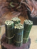 Black Willow Cuttings - 12 Unrooted Salix Nigra for Rooting - Ornamental Tree Bonsai