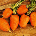 Oxheart Carrot Seeds | Heirloom Non-GMO | Organic Vegetable Seeds | Daucus carota