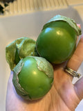 Texas Tomatillo Seeds - 50+ Heirloom Verde Salsa Variety for Vegetable Garden (Physalis ixocarpa)