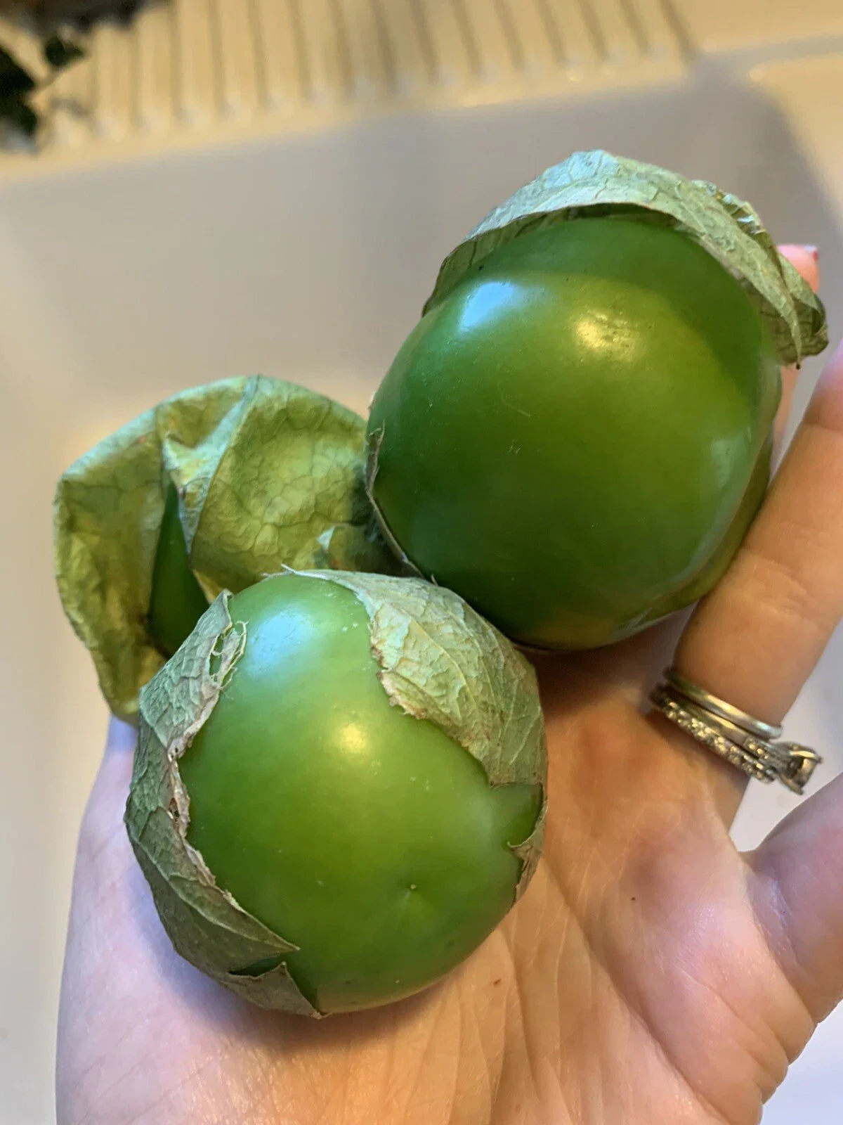 Texas Tomatillo Seeds - 50+ Heirloom Verde Salsa Variety for Vegetable Garden (Physalis ixocarpa)